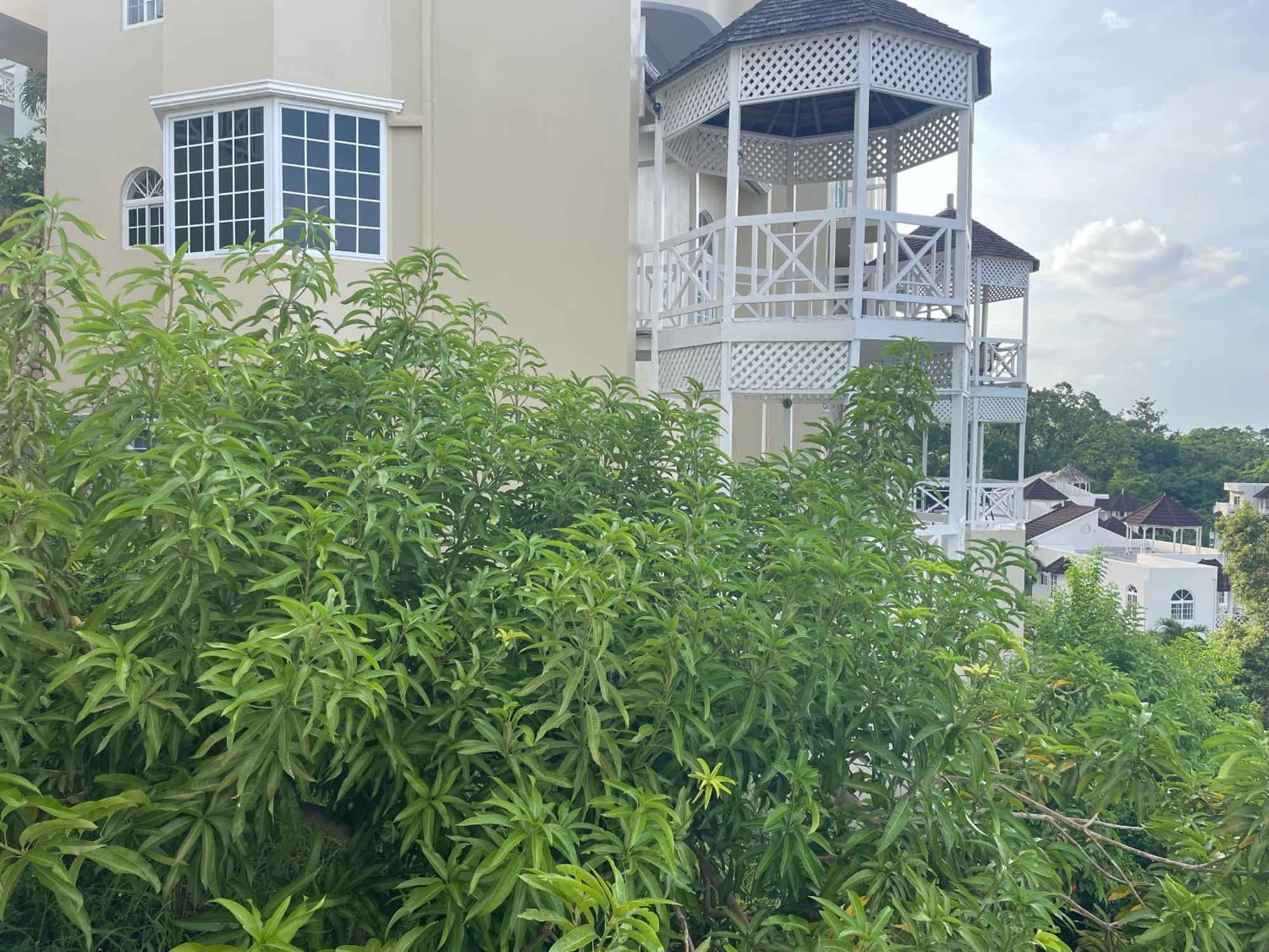 Oceanbreeze Jamaica Penthouse, 7-Minute Walk To Beach Ocho Rios Eksteriør billede