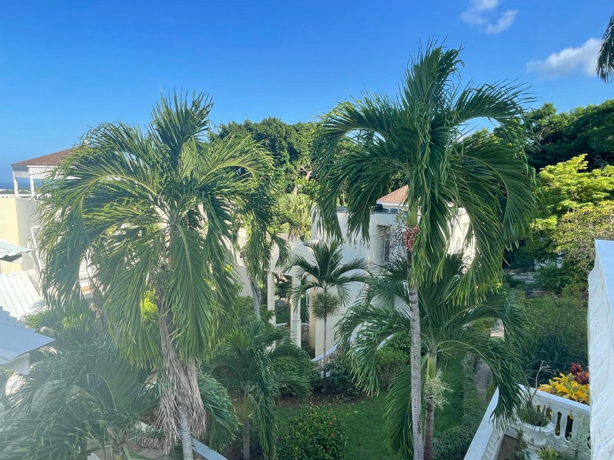 Oceanbreeze Jamaica Penthouse, 7-Minute Walk To Beach Ocho Rios Eksteriør billede