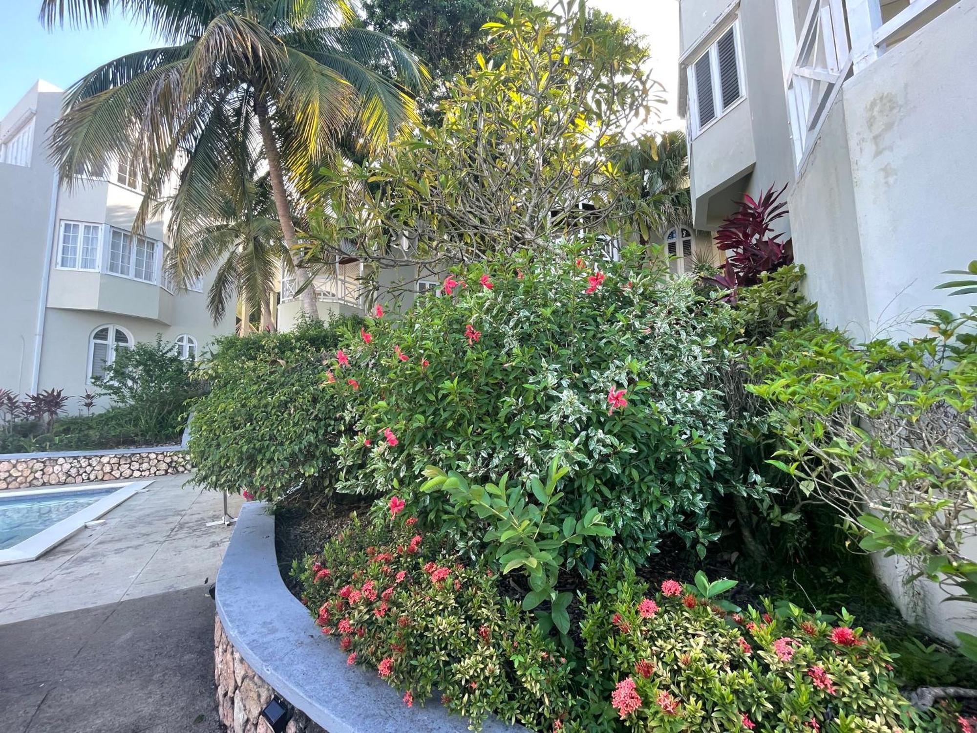 Oceanbreeze Jamaica Penthouse, 7-Minute Walk To Beach Ocho Rios Eksteriør billede